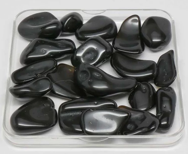 polished meteorite tektite pieces